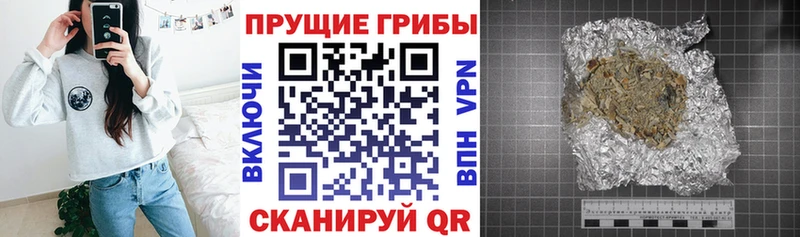 Псилоцибиновые грибы мицелий  мега ONION  Шацк 